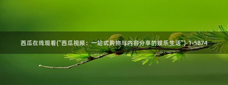 西瓜在线影视剧