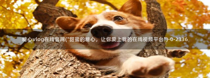 糖心vlog视频免费看：糖心vlog在线官网(\