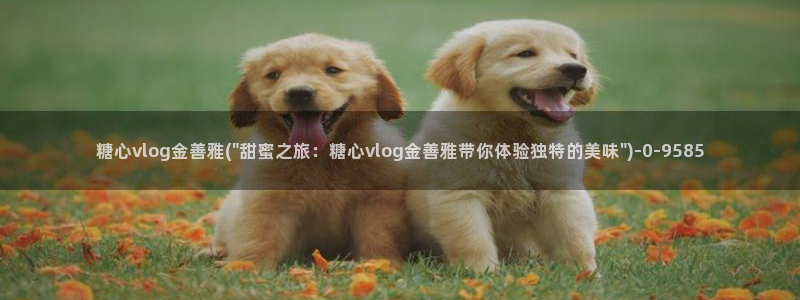vlog糖心在线观看：糖心vlog金善雅(\