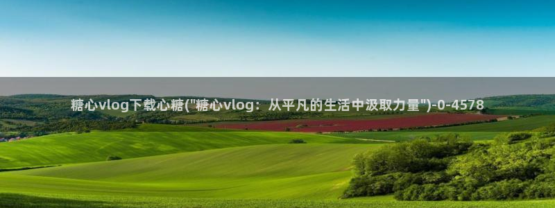 糖心vlog片