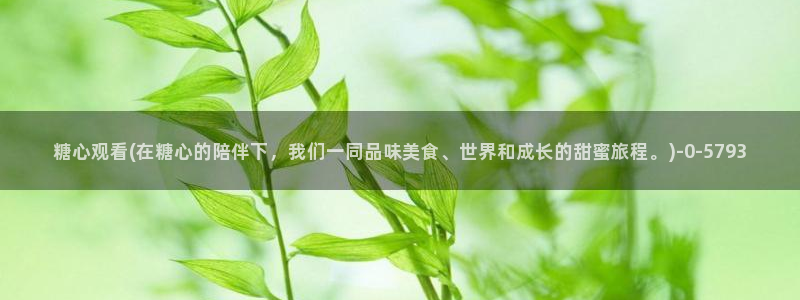 糖心vlog后入