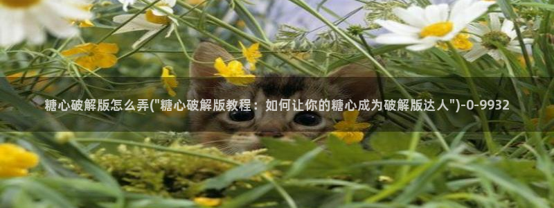 糖心vlog软件下载：糖心破解版怎么弄(\