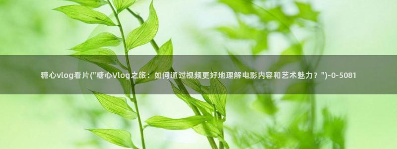 心糖vlog在线观看