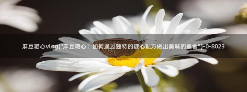 糖心vlog最新网站：麻豆糖心vlog(\