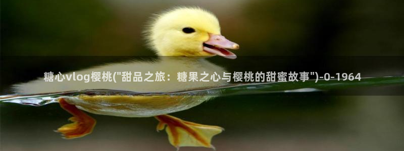 糖心vlog怎么加入：糖心vlog樱桃(\