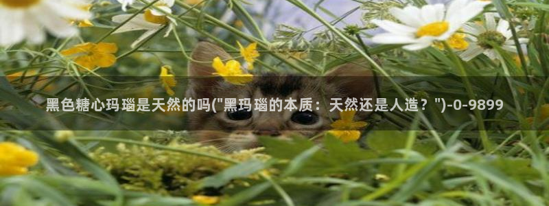 糖心vlog是干嘛的