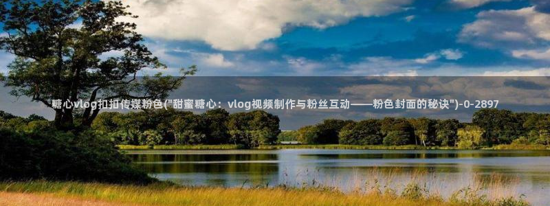 糖心vlog1：糖心vlog扣扣传媒粉色(\