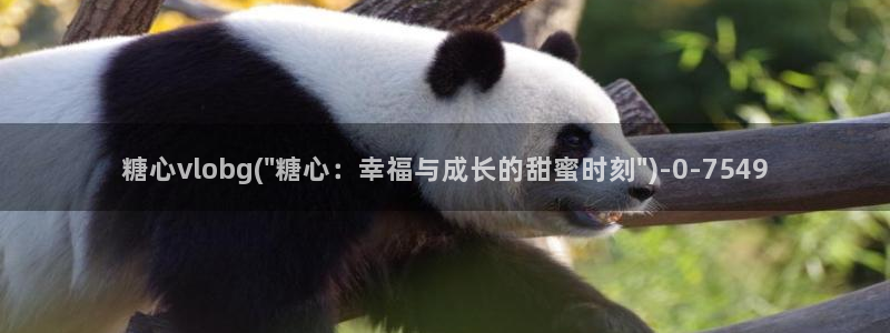 糖心vlog进入：糖心vlobg(\