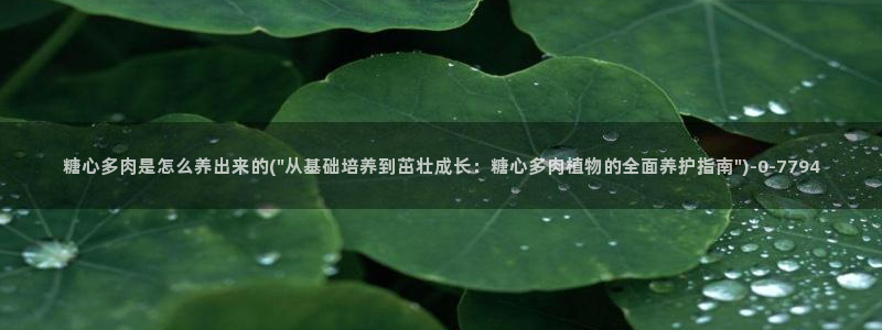 糖心vlog51