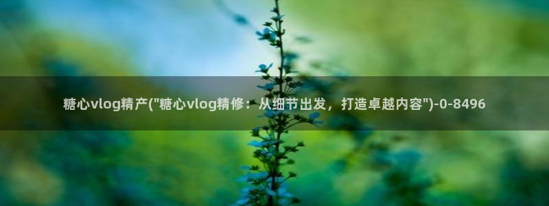 糖心vlog电影高清