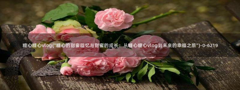 糖心vlog小欣奈